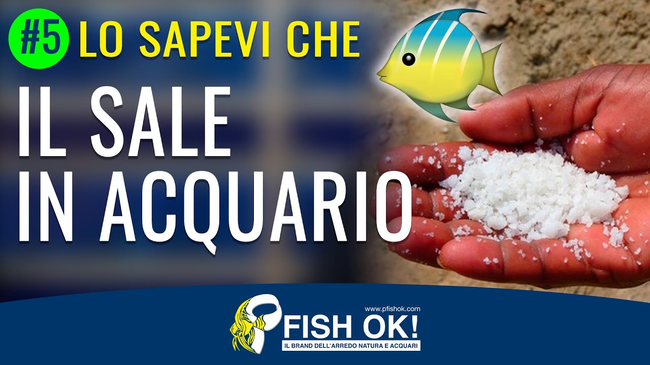 Quali pesci d'acquario hanno bisogno di Sale - lo sapevi che #5