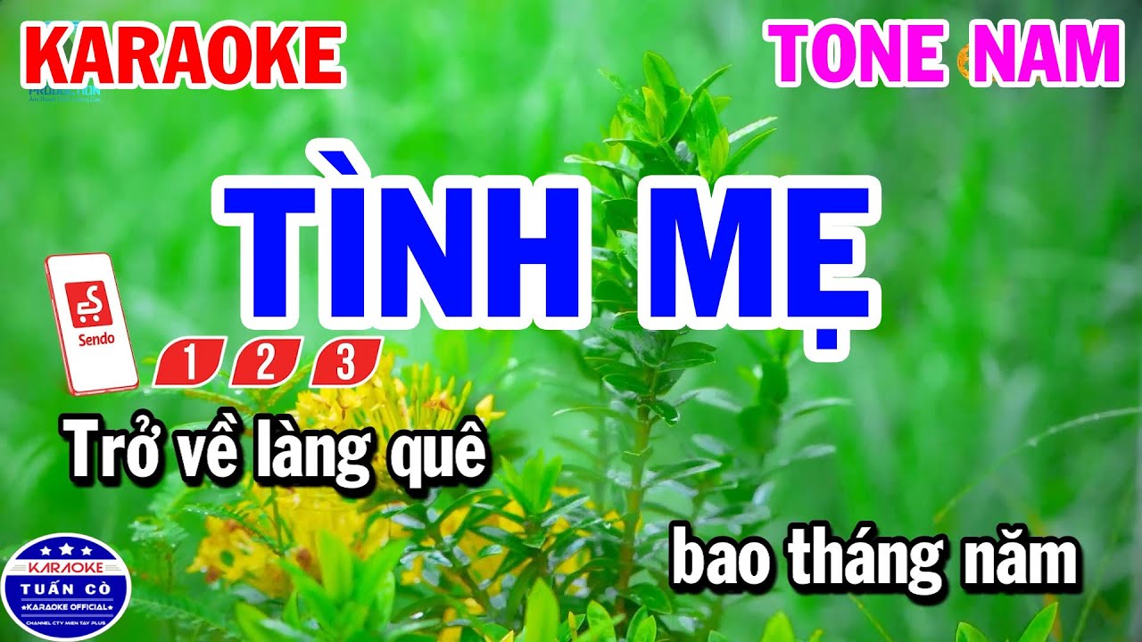 Karaoke Tình Mẹ Tone Nam Nhạc Sống Beat Hay