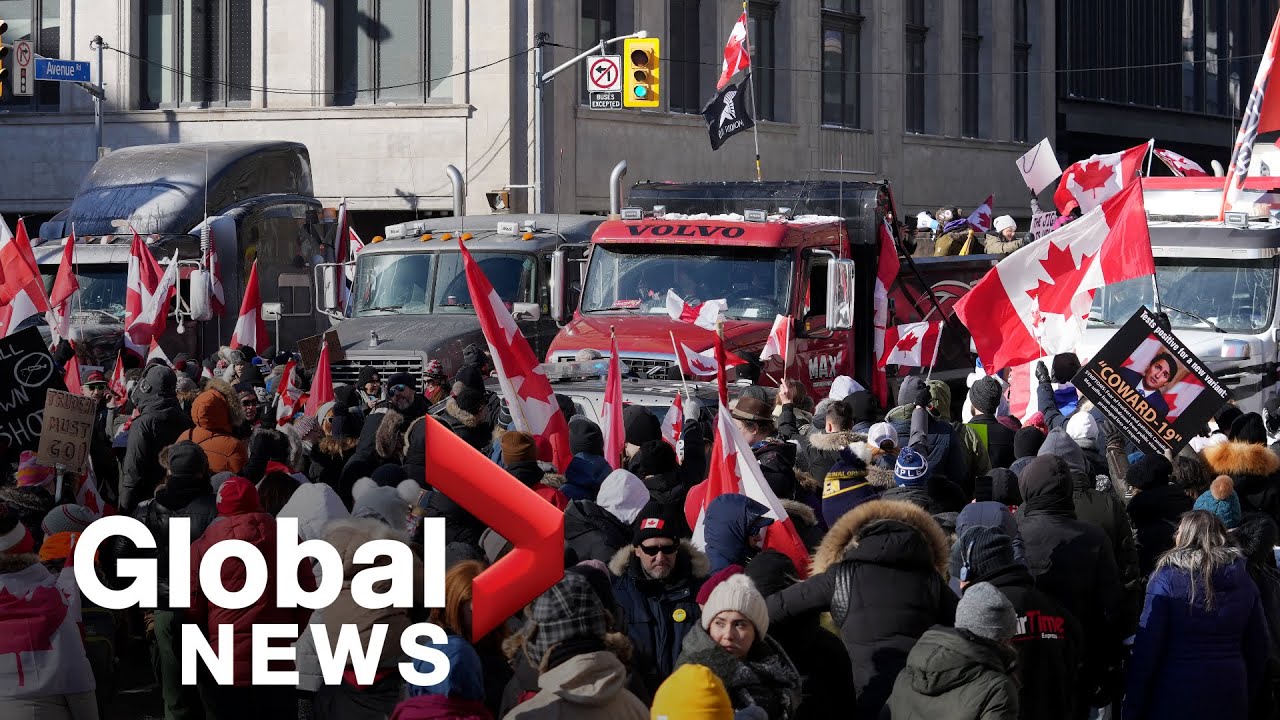 Trucker protests: Parts of Toronto see large crowds for anti-mandate demonstrations
