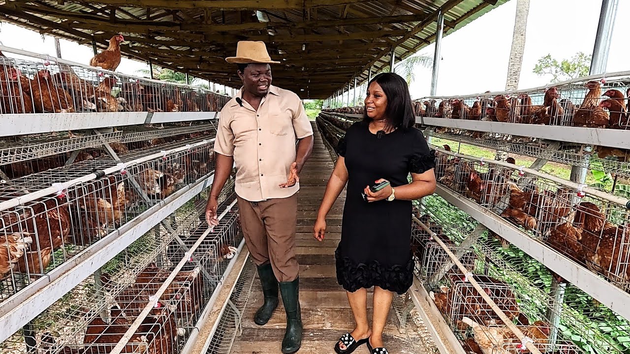 I STARTED MY POULTRY FARM WITH 50 BIRDS BUT NOW OWN OVER 35,000 BIRDS AND 42 ACRES AGRO-TOURISM SITE