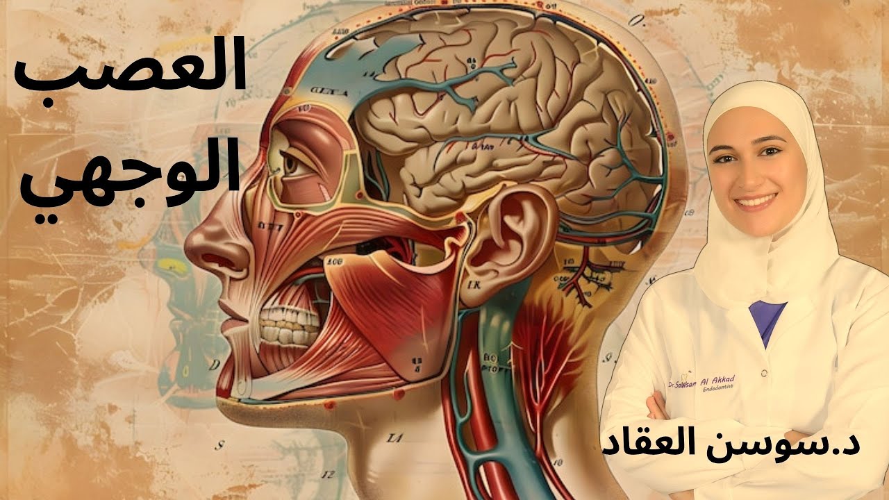 بأقل من 12 دقيقة! العصب  السابع (العصب الوجهي)facial nerve