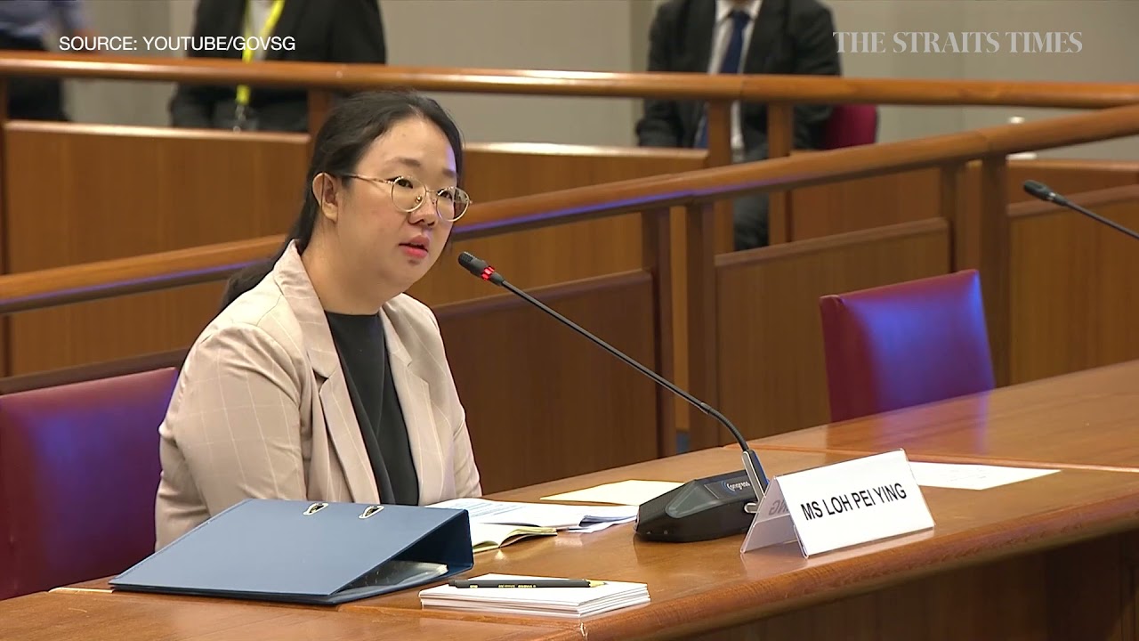 Loh Pei Ying: I felt Pritam Singh should have spoken up in Parliament