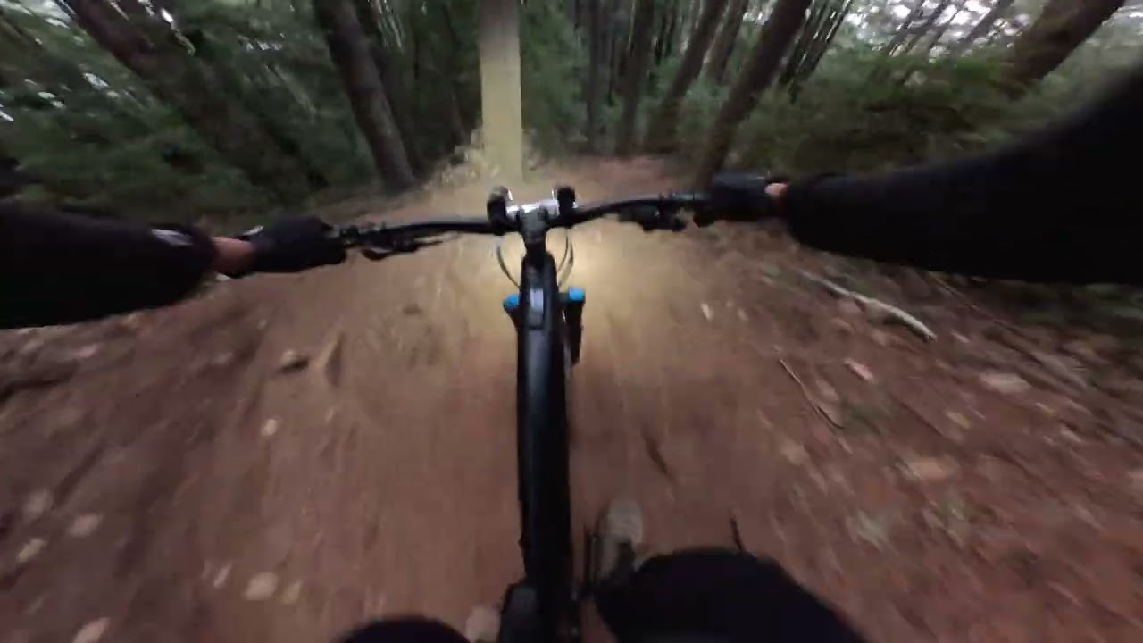 Night Wizard | Santa Cruz