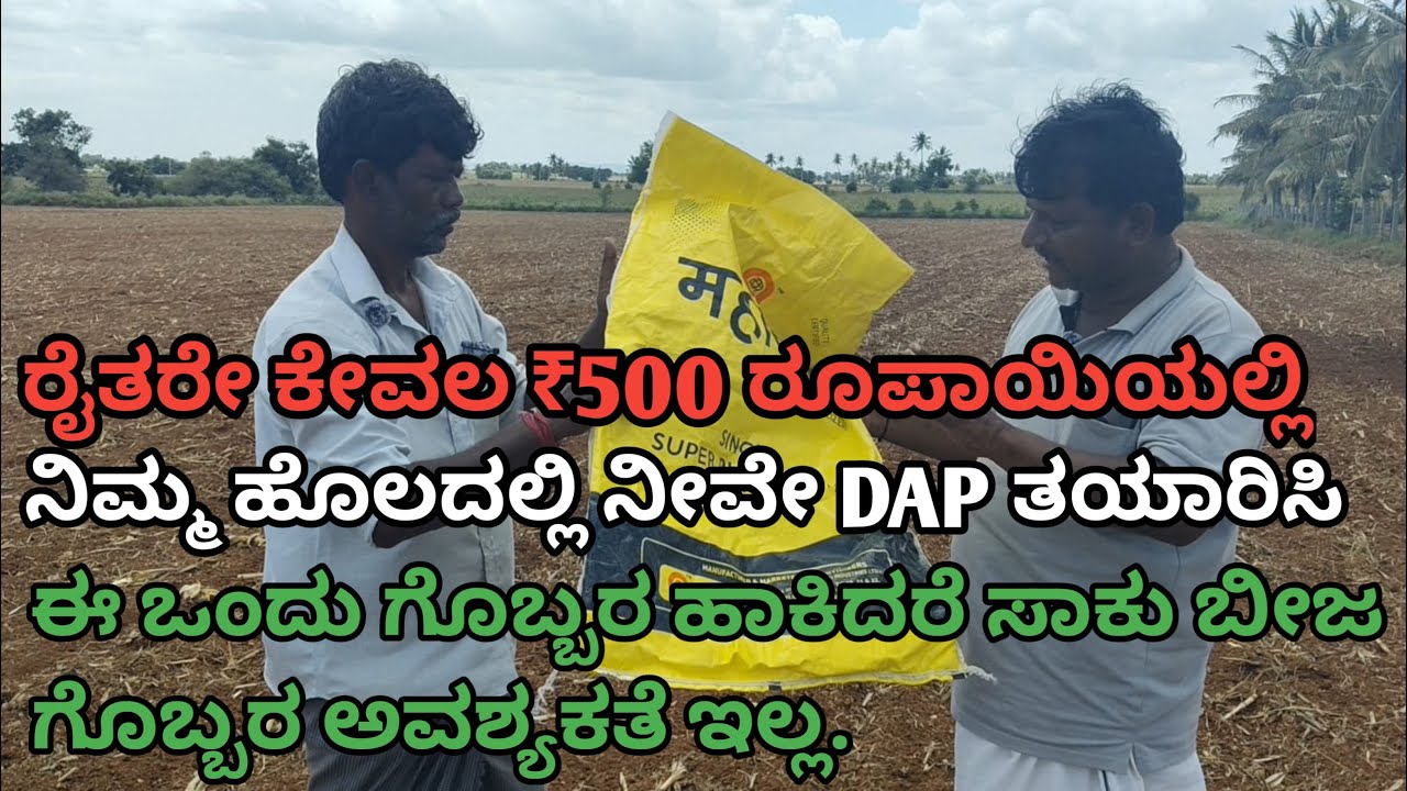 ಕೇವಲ ₹500 ನೀವೆ ಗೊಬ್ಬರ ತಯಾರಿಸಿ |ರೈತರೇ ಈ ಒಂದು ಗೊಬ್ಬರ ಹಾಕಿದರೆ ಸಾಕು | ಯಾವುದೇ DAP ನೀಡುವ ಅವಶ್ಯಕತೆ ಇಲ್ಲ |