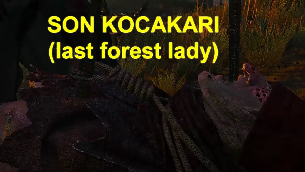 The Witcher 3 Wild Hunt - En Kötü Oyun Sonu - Son Kocakarı'nın (Ormanın Hanımı) Ölümü