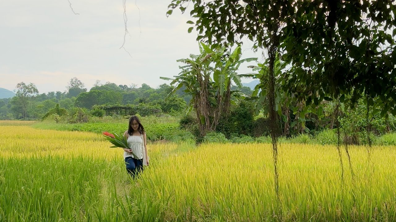 trẻ & vụng về #6: từ từ thôi| Thuần Podcast