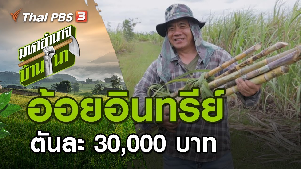 อ้อยอินทรีย์ตันละ 30,000 บาท : มหาอำนาจบ้านนา (22 ธ.ค. 62)