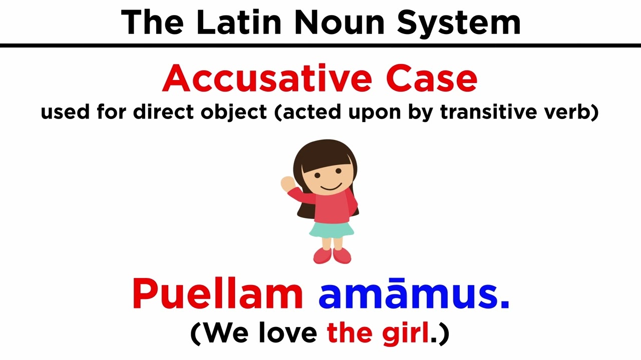 The Latin Noun System
