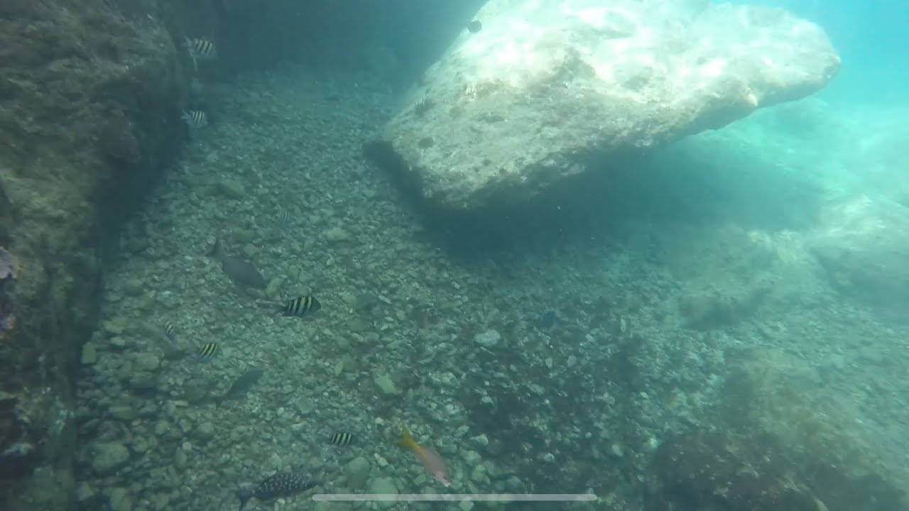 Tortola Norman Island Snorkeling adventure. Caves and great marine wildlife video