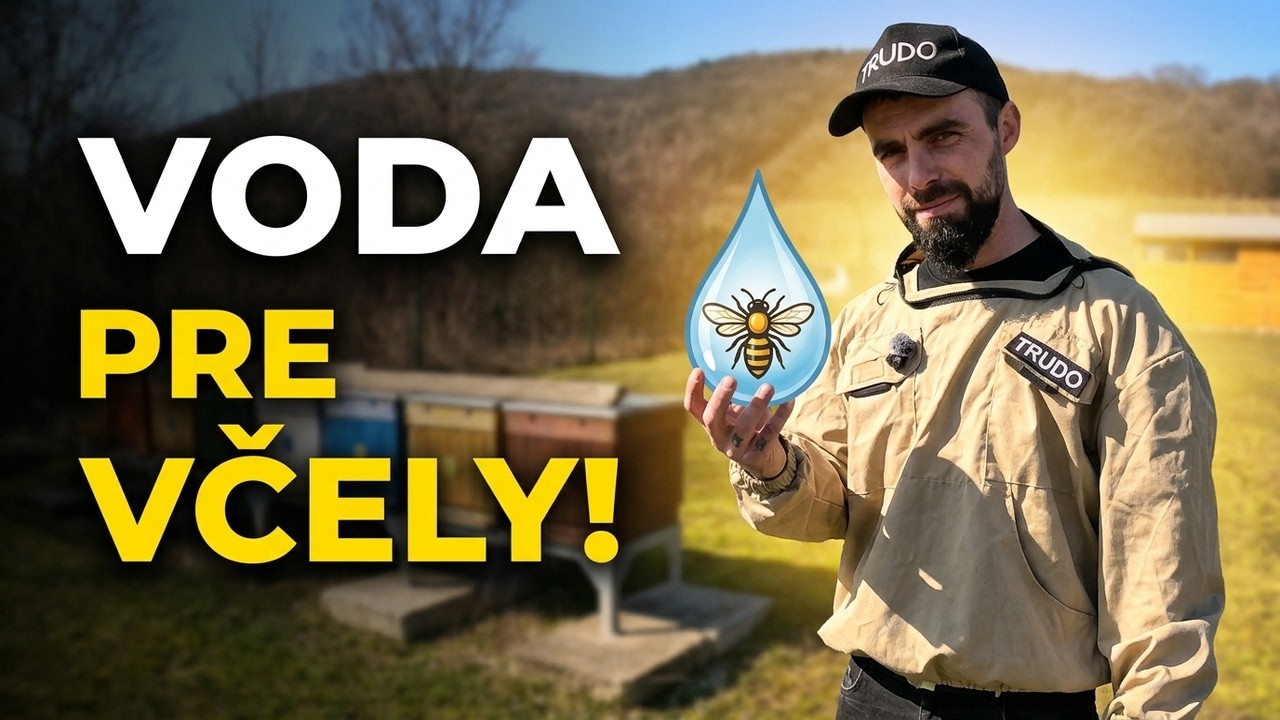 Voda, vec, ktorú včely potrebujú viac než si myslíte 🐝💧