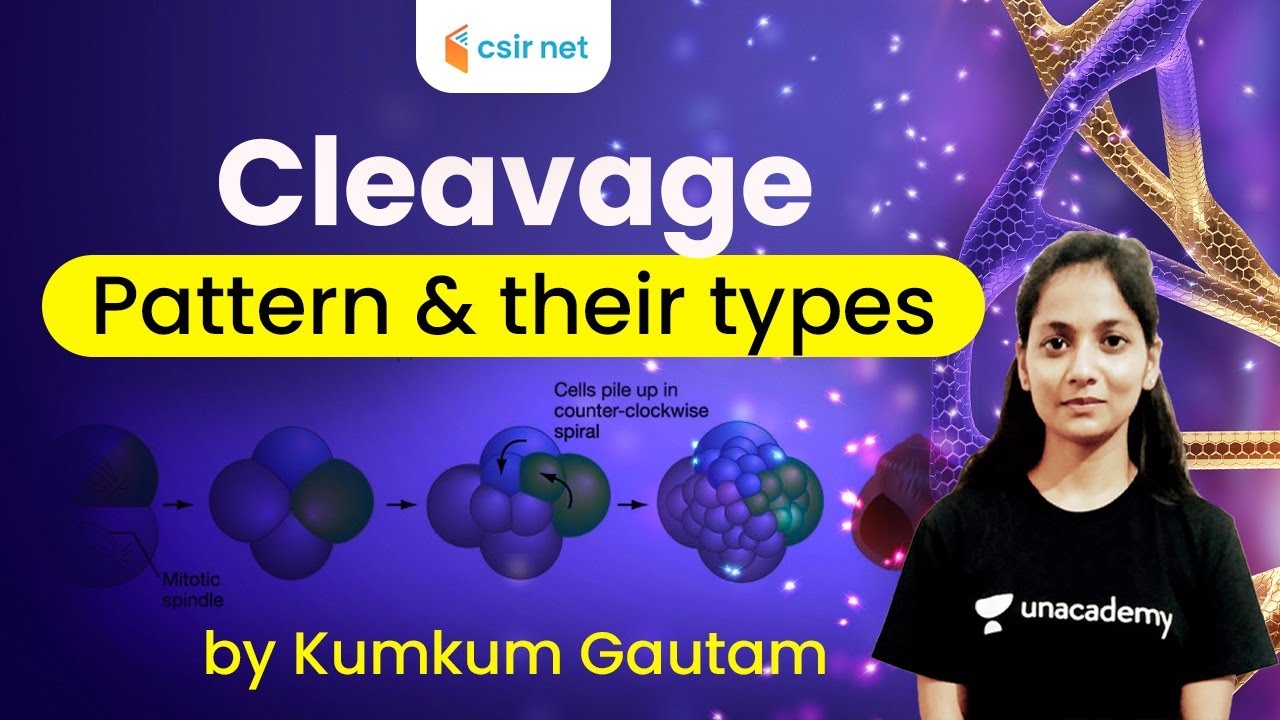 CSIR NET Life Science | Cleavage Pattern & Types | Kumkum Gautam