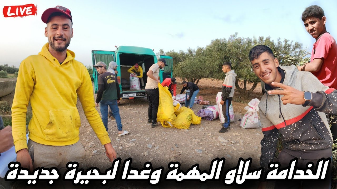 الخدامة ناشطين بعد ما سلينا الزيتون من لبحيرة..وغدا غادي نمشيو انشاء الله لبحيرة جديدة وهافين غادي..