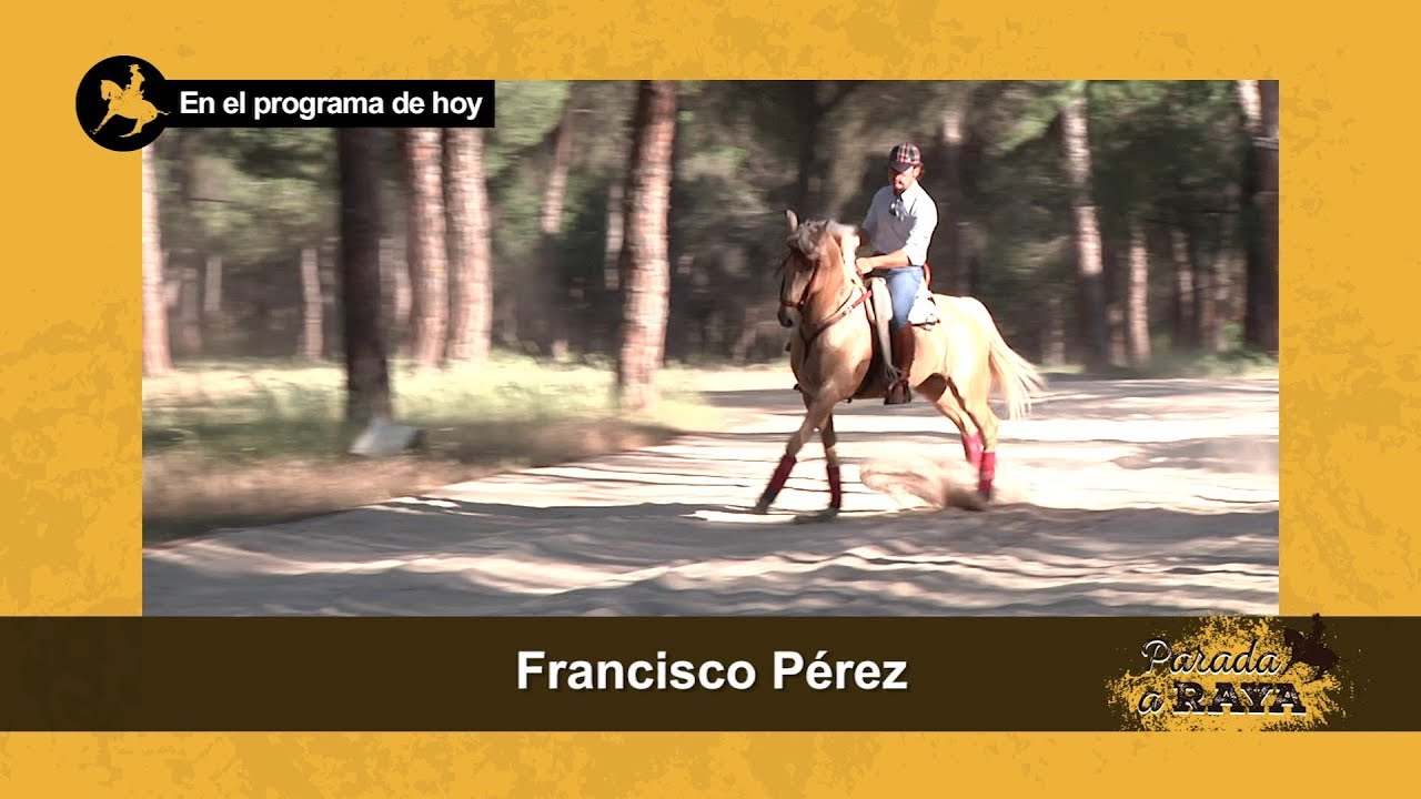 Parada a Raya. Programa 99