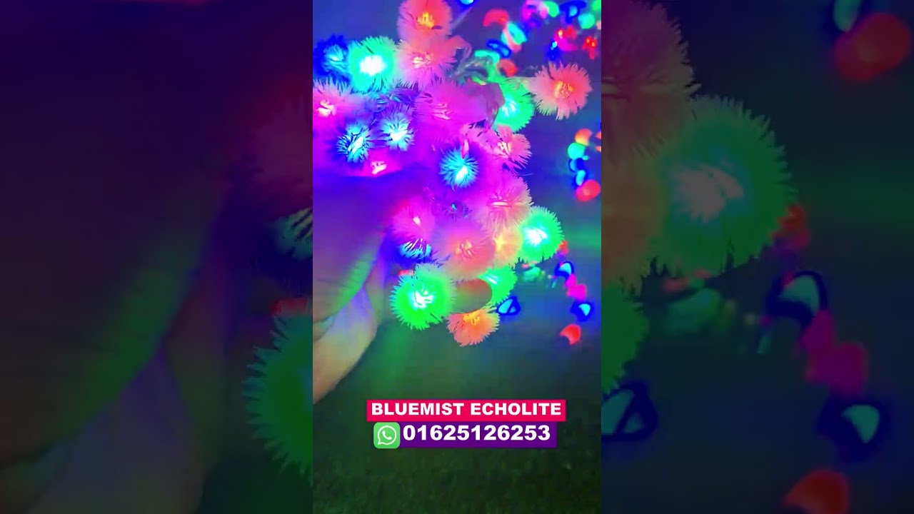 FAIRY LIGHT PRICE IN BANGLADESH | I BIGGEST DECORATION LIGHT WHOLESALE MARKET |FAIRY LIGHT BD2026