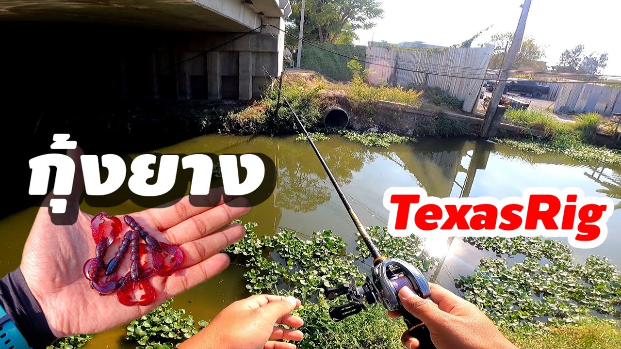 ตกปลาช่อนคลอง ด้วยเหยื่อทรงกุ้งยาง TexasRig ยามเย็นในวันที่ปลากัดยาก 