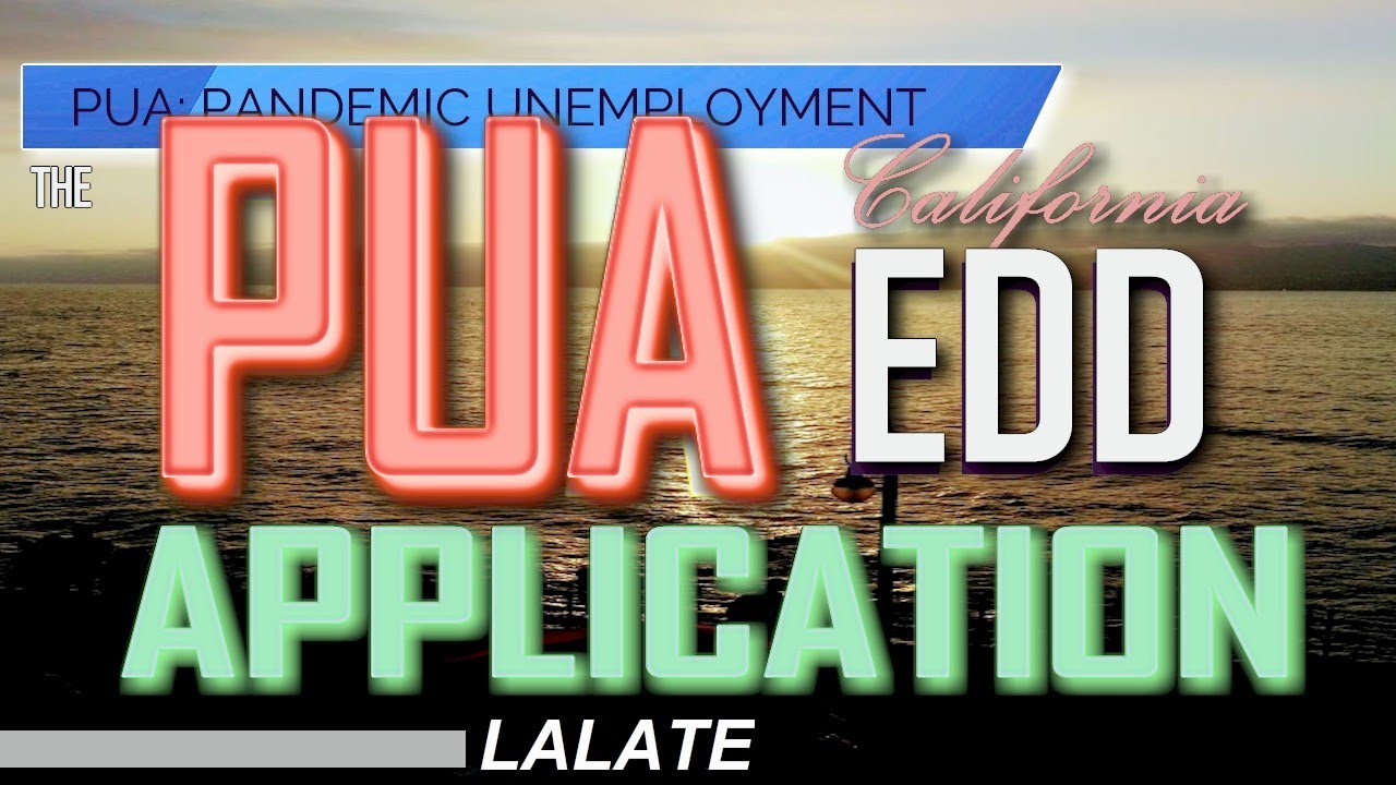 PUA Benefits Bombshell: How to Apply for PUA Maximum Benefits Payments: Plus NY, CA EDD, Texas, FL!