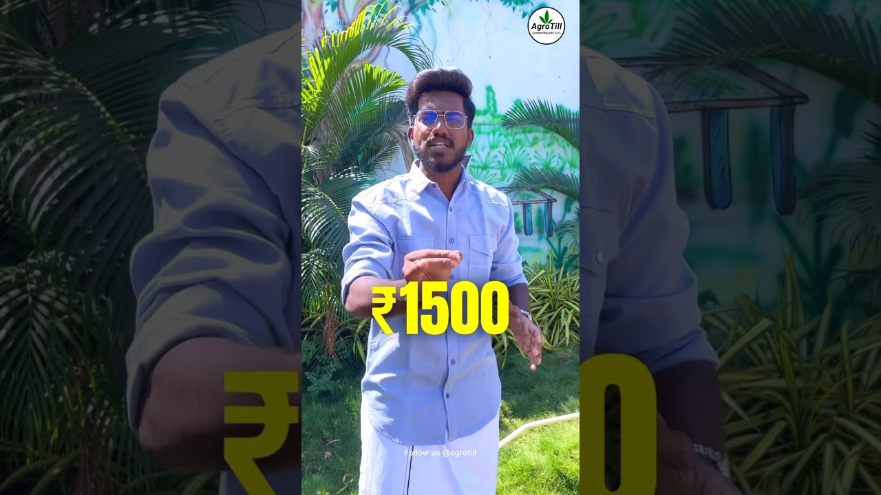 What is MSP 👨&zwj;🌾| Minimum Support Price Explained 🔥| Agrotill | #farming #agriculture #shorts