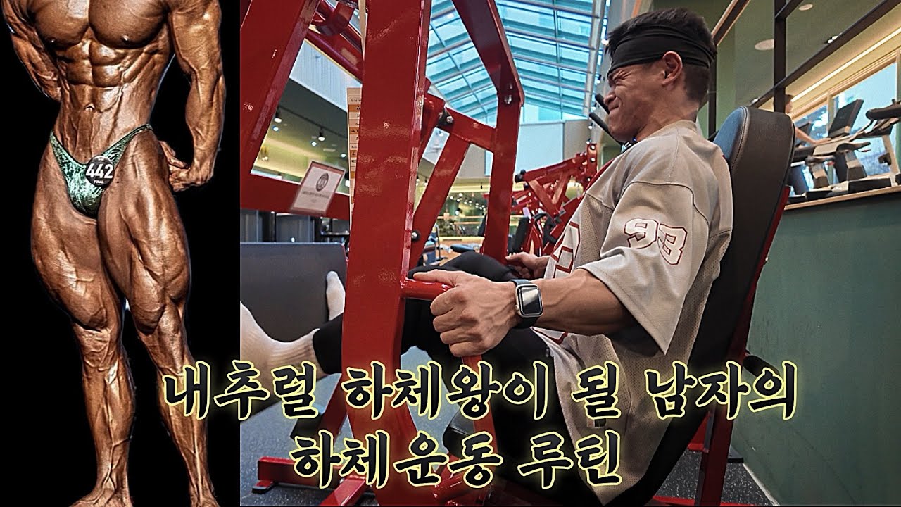 상체보다 하체운동이 더 좋은 남자 (feat. 쿼드질라메쏘드)