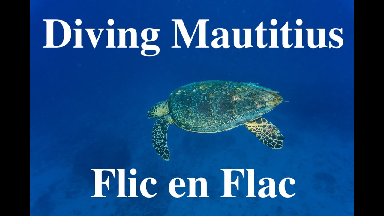 Best off, Scuba diving Mauritius