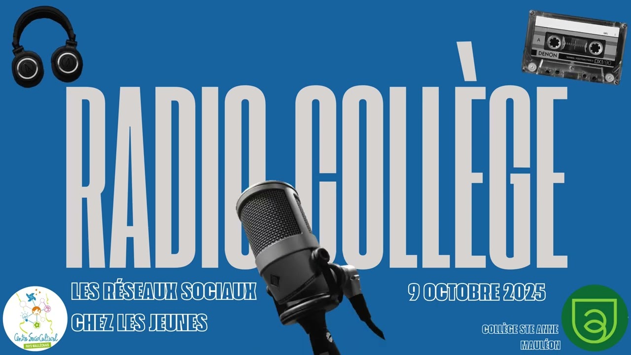 Les réseaux sociaux : rapport parlementaire #3