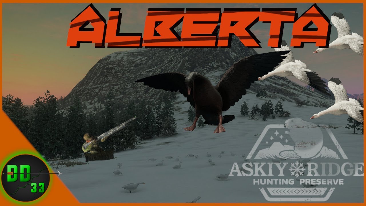 Snow Goose Hunting In Alberta! Call Of The Wild