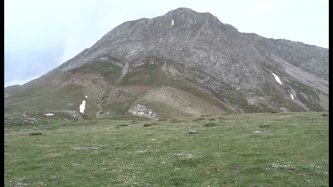 ΤΣΑΠΟΥΡΝΙΑ - ΕΡΥΜΑΝΘΟΣ ( ΩΛΕΝΟΣ )
