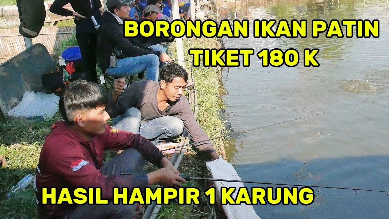 BORONGAN IKAN PATIN,,,HASIL NYA HAMPIR 1 KARUNG ‼️ MANCING BORONGAN PATIN