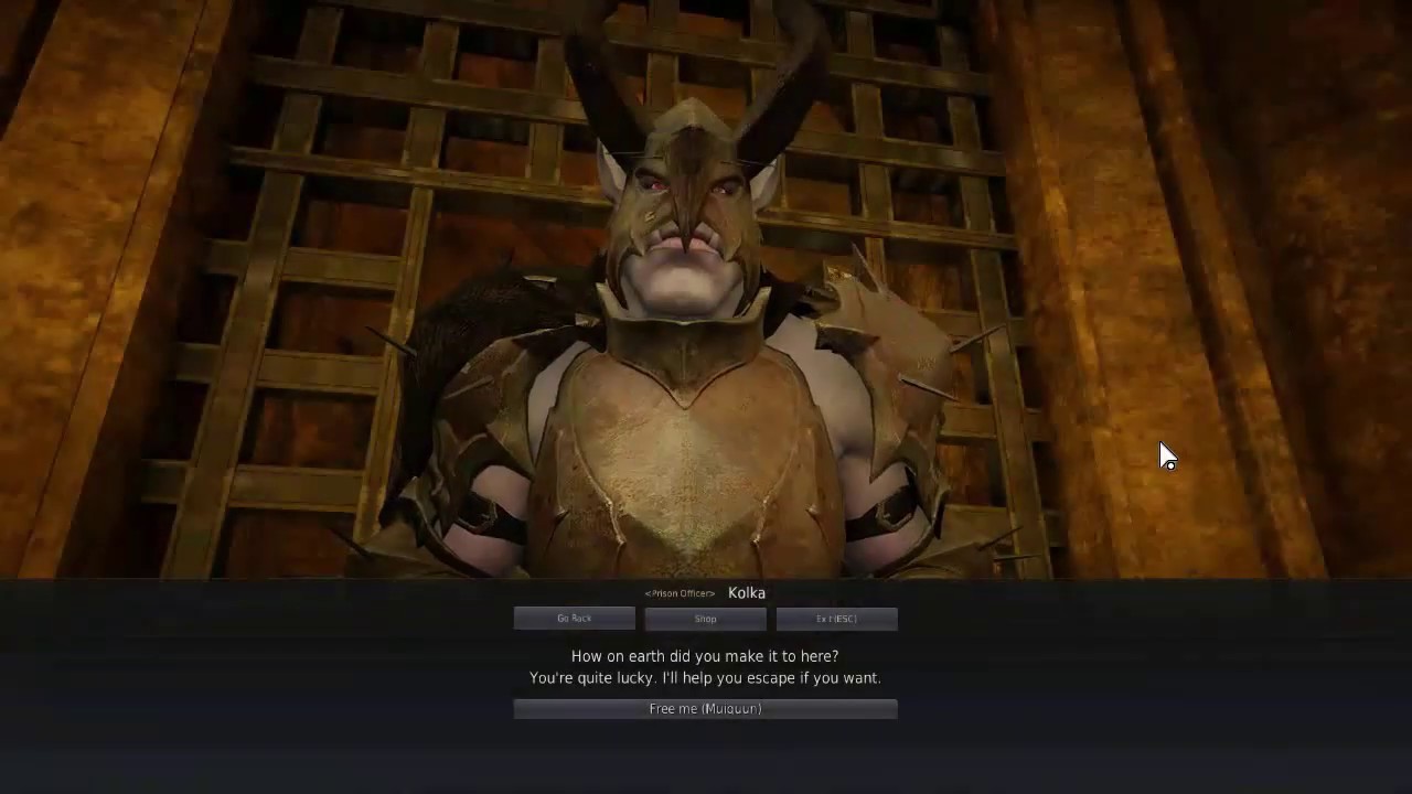Black Desert Online: Escape From Desert-Jail Easily