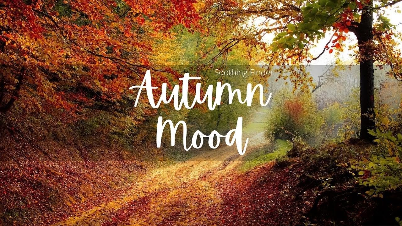 Autumn Mood Music - Soothing Finder