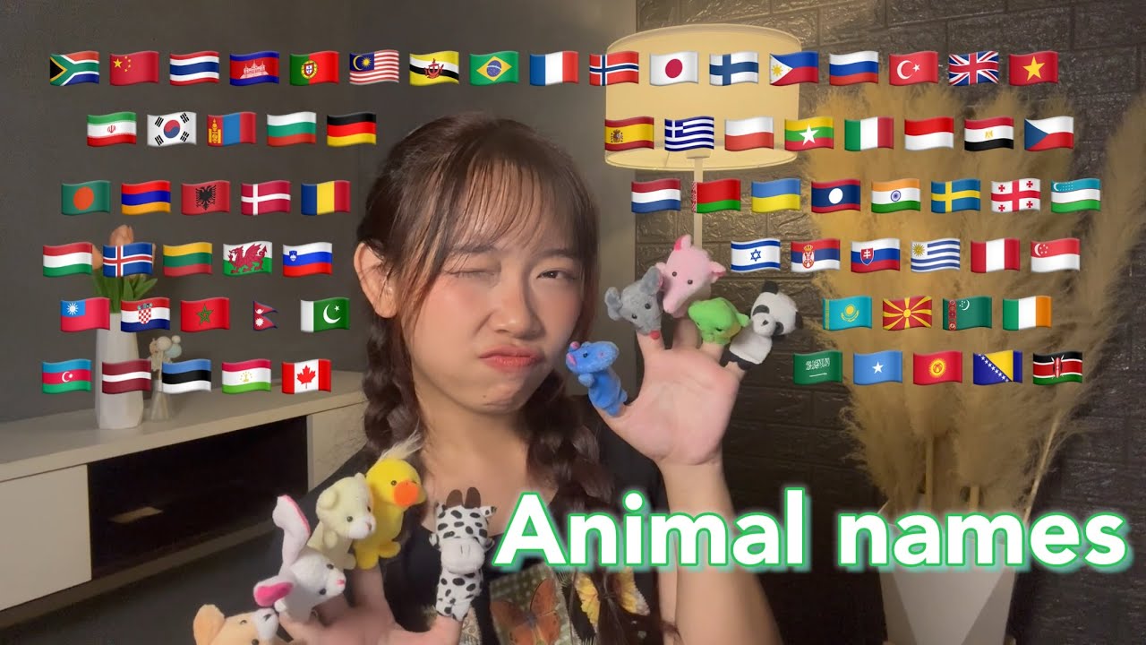 ASMR Animal Names in 70 Different Languages (2 hours for sleep)
