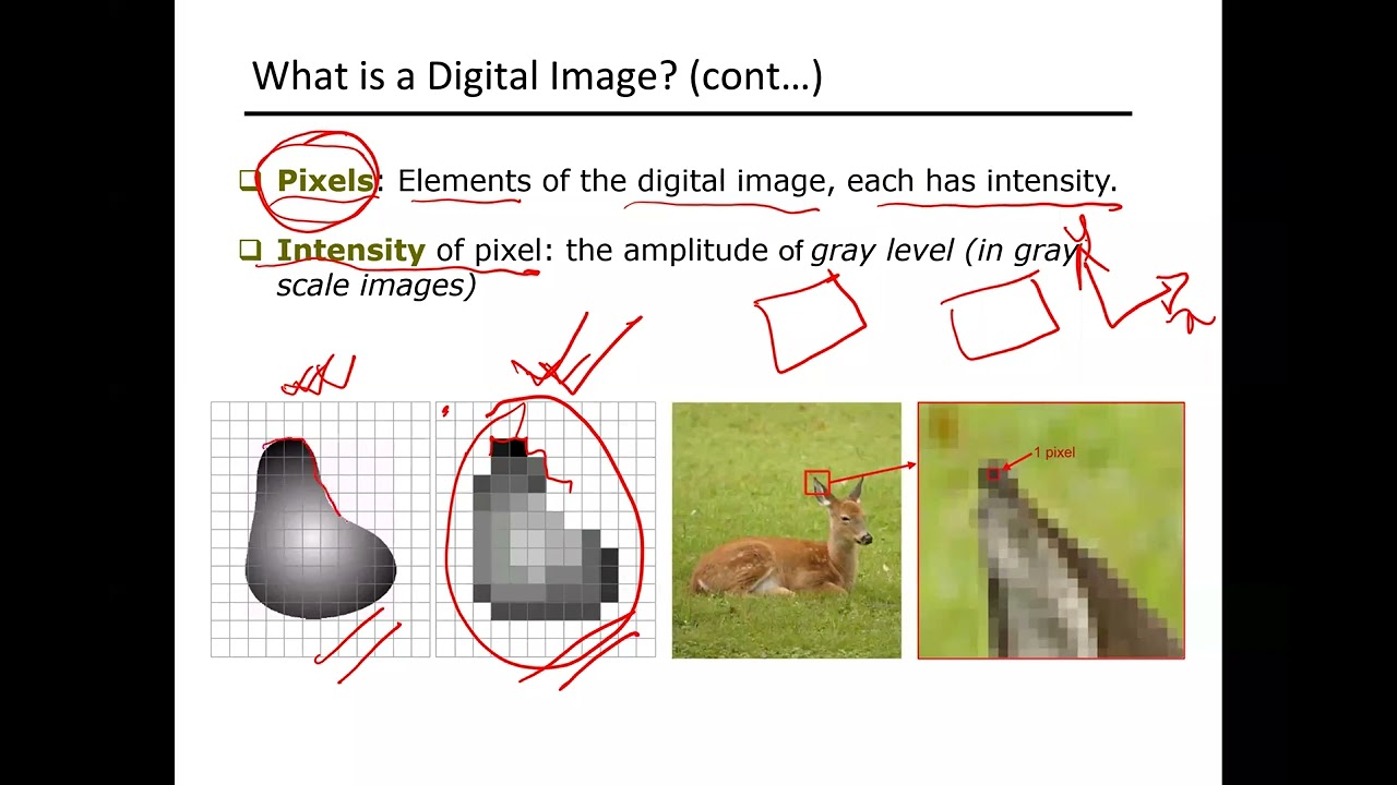 01 Lecture  Chapter 1  Introduction to DIP