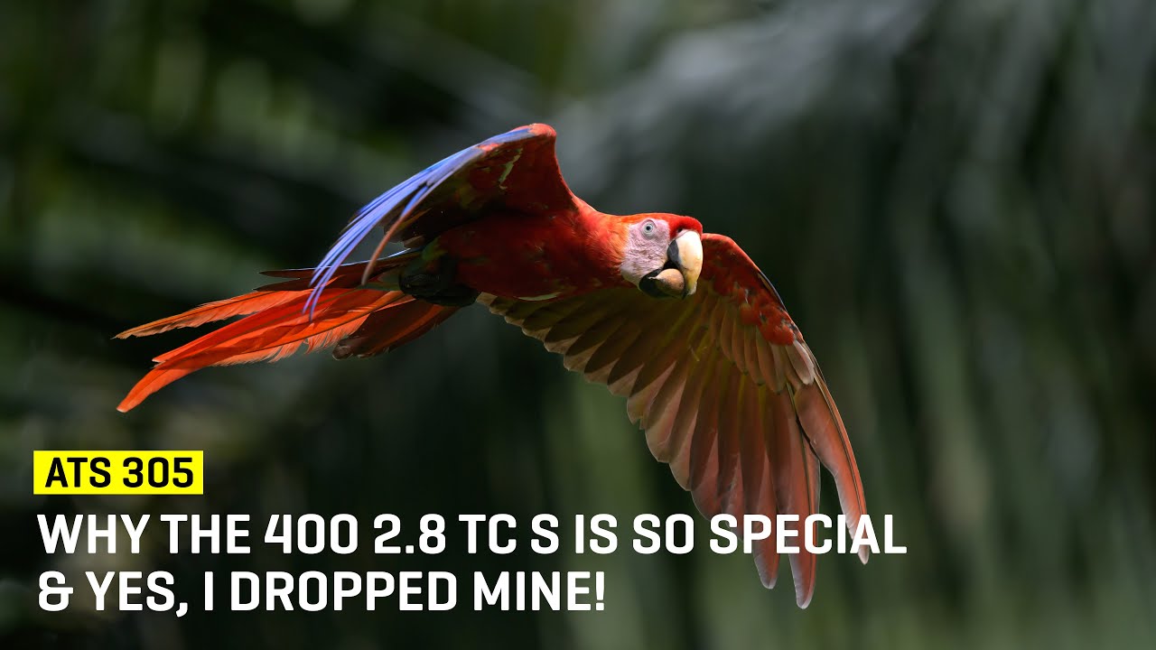 Приближаемся к месту событий 305: Почему 400 2.8 TC S такой особенный и да, я бросил свой!