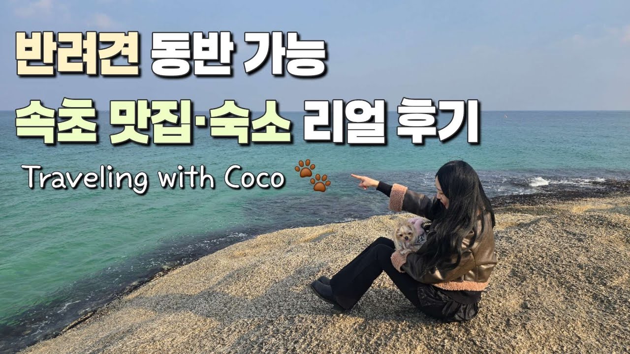 (ENG SUB) 반려견 동반 가능 속초 맛집ㆍ숙소 리얼 후기 