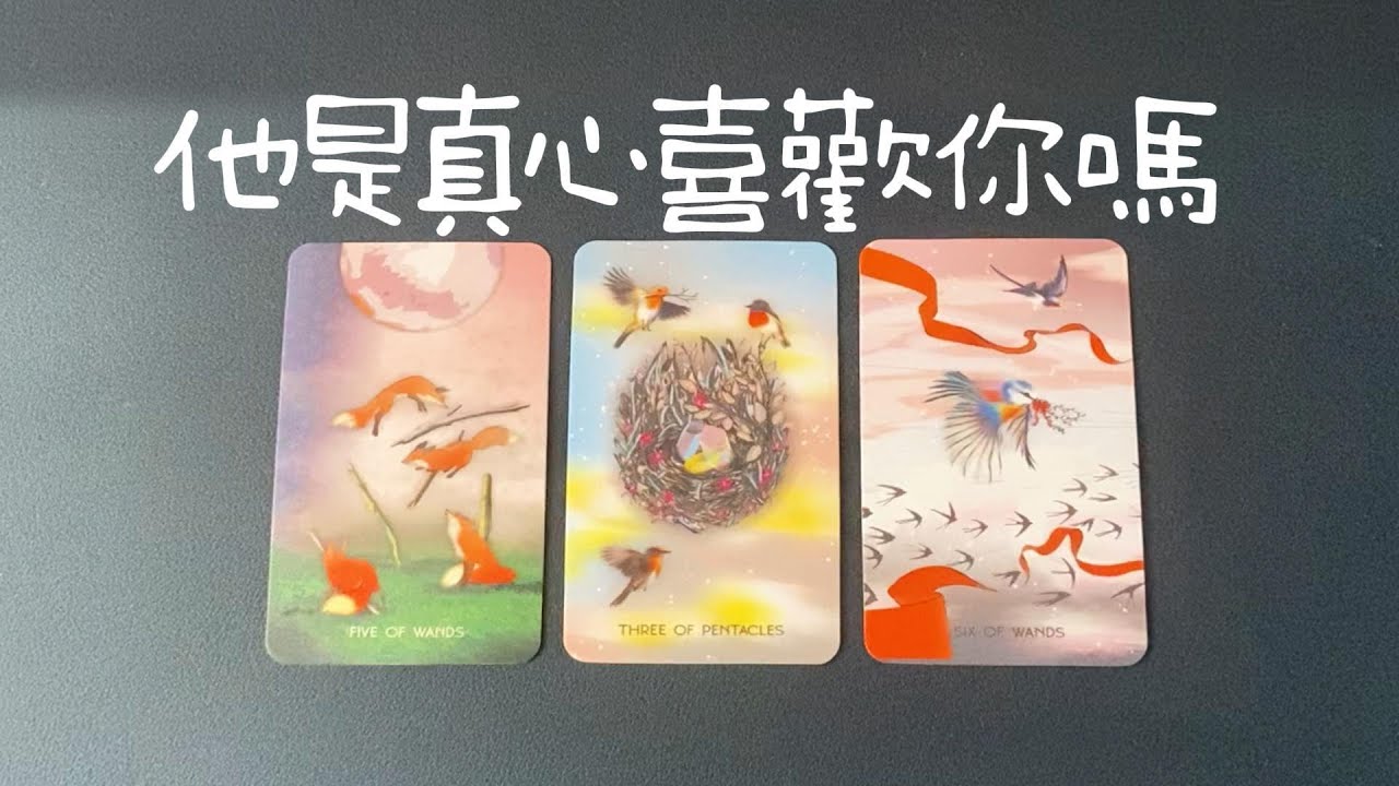他是真心喜歡你嗎？對你的真實情感、對關係的看法感受以及期待|曖昧|愛情|戀愛|桃花|塔羅占卜|
