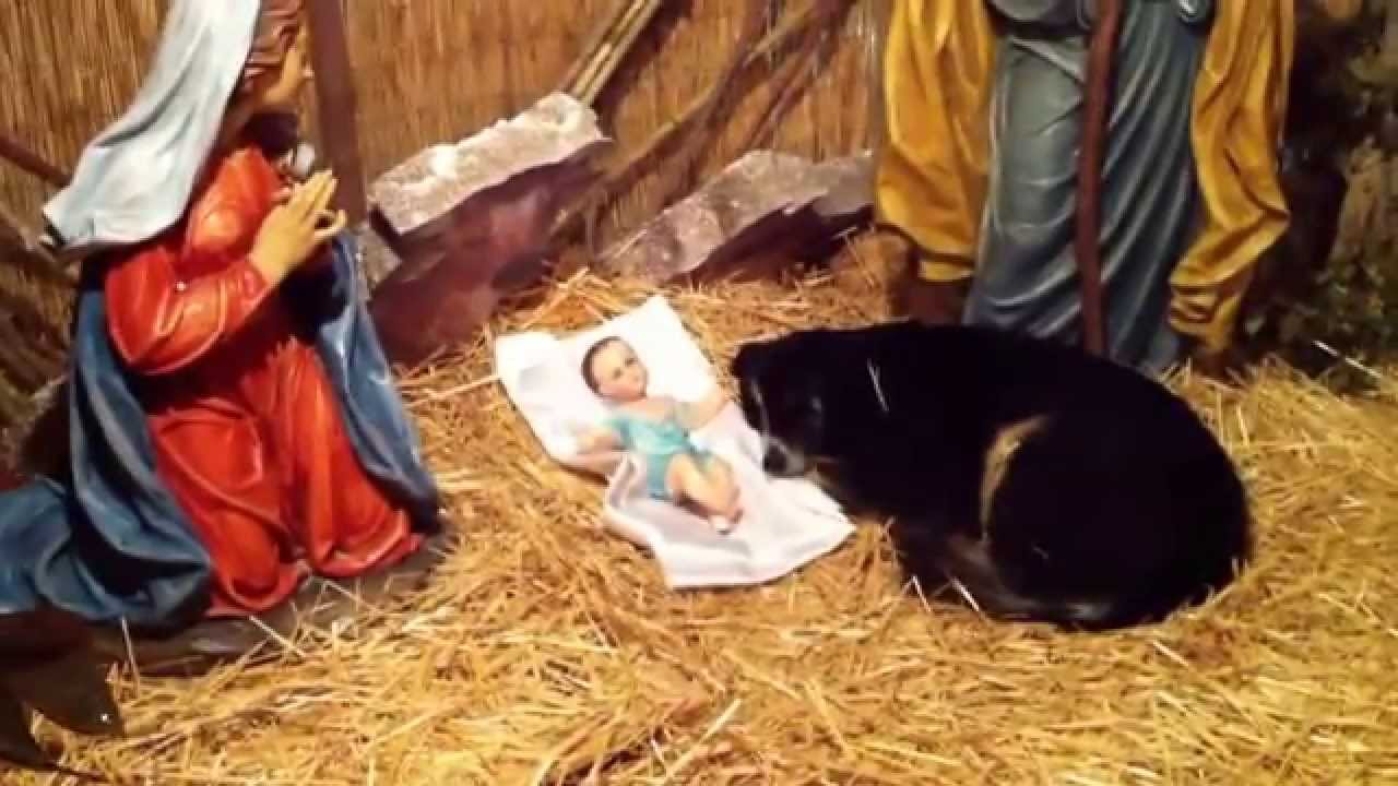 Raffadali - visita inaspettata al presepe