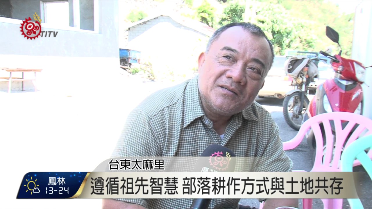 多良山坡地遭疑過度開墾 部落出面駁斥 2017-02-15 TITV 原視新聞