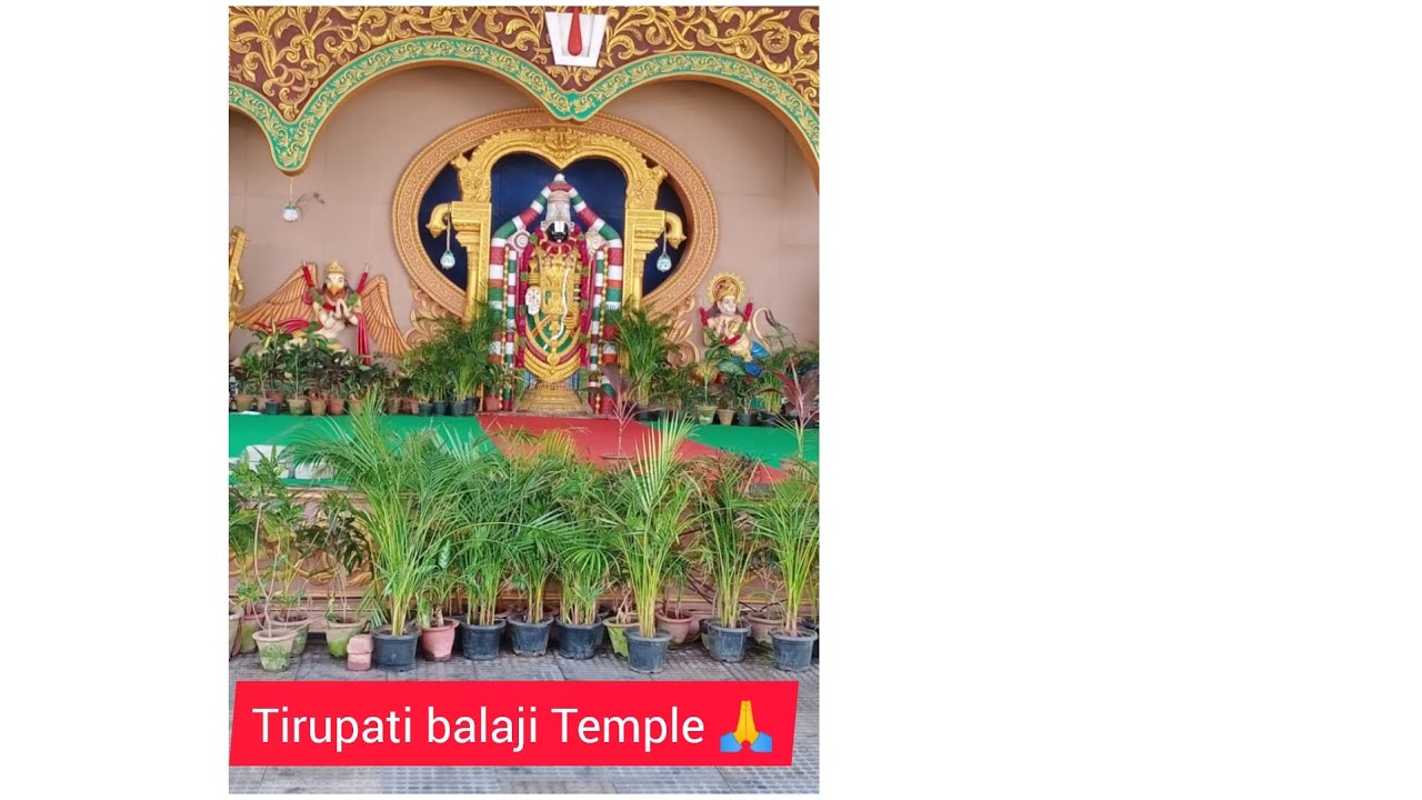 Tirupati balaji Temple dursan 🙏