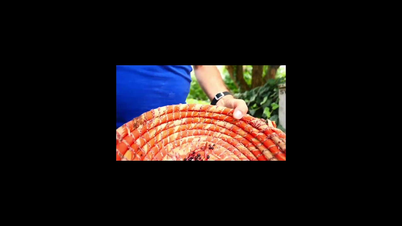 L&ouml;ffel schnitzen#bushcraft #naturhandwerk #waldp&auml;dagogik #diyideen, #kreativmitkindern #naturerleben