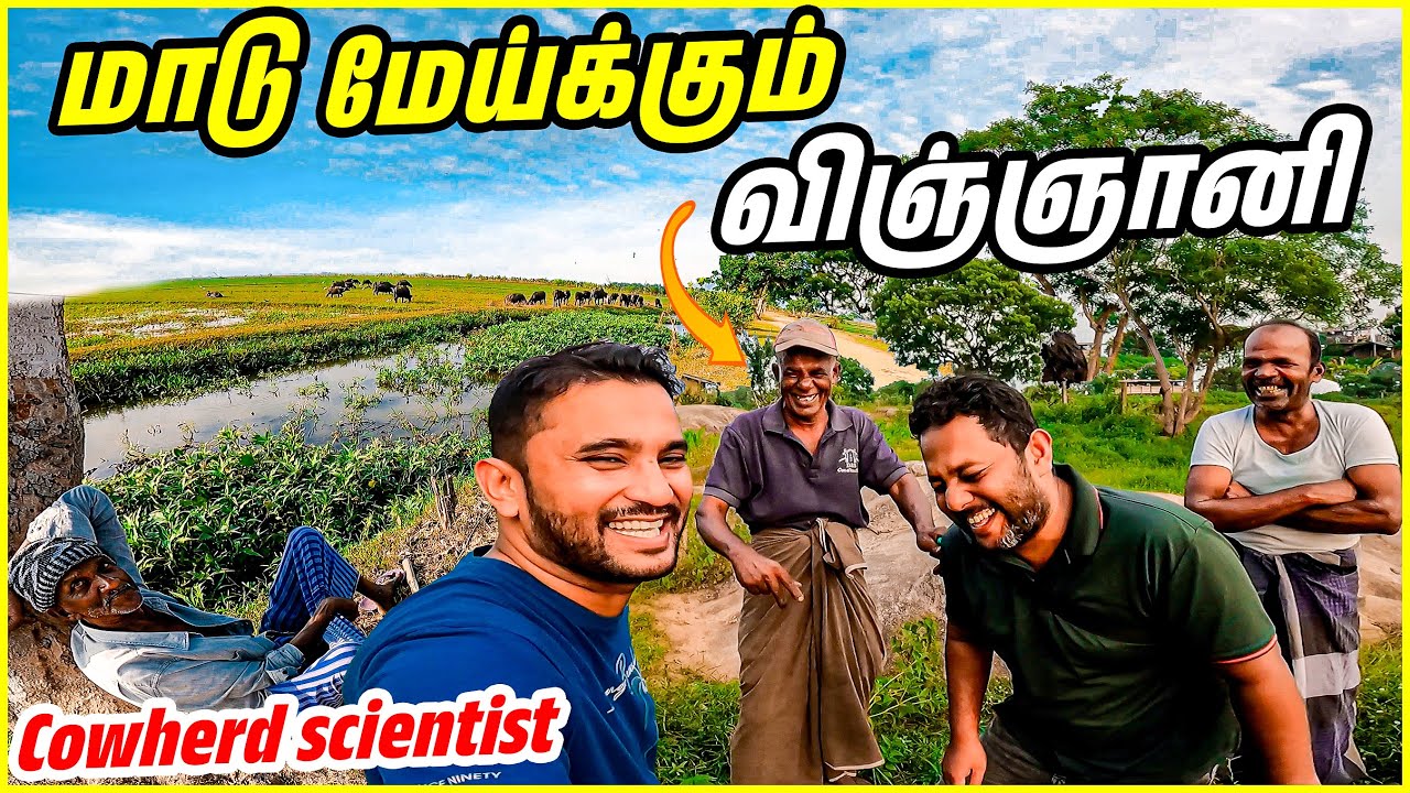 மாடு மேய்க்கும் விஞ்ஞானி | Cowherd scientist | Lanka Boys