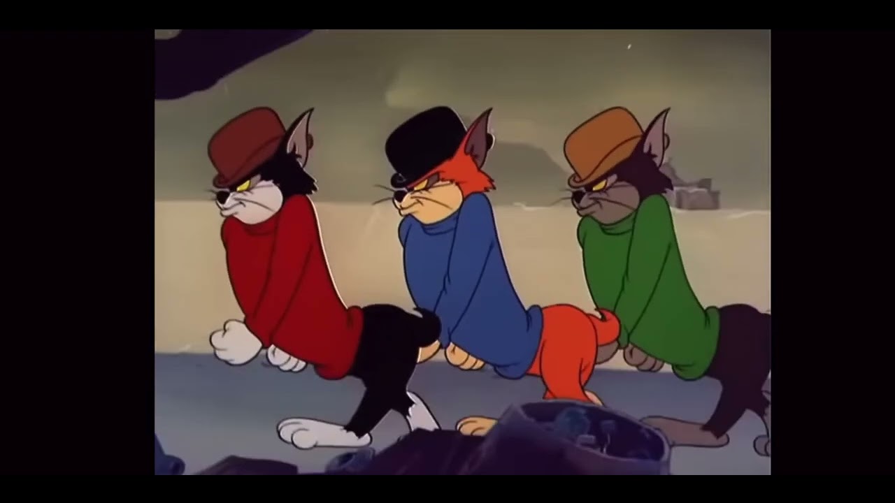 Y&rsquo;s CAMP &ldquo;Together&rdquo; M/V