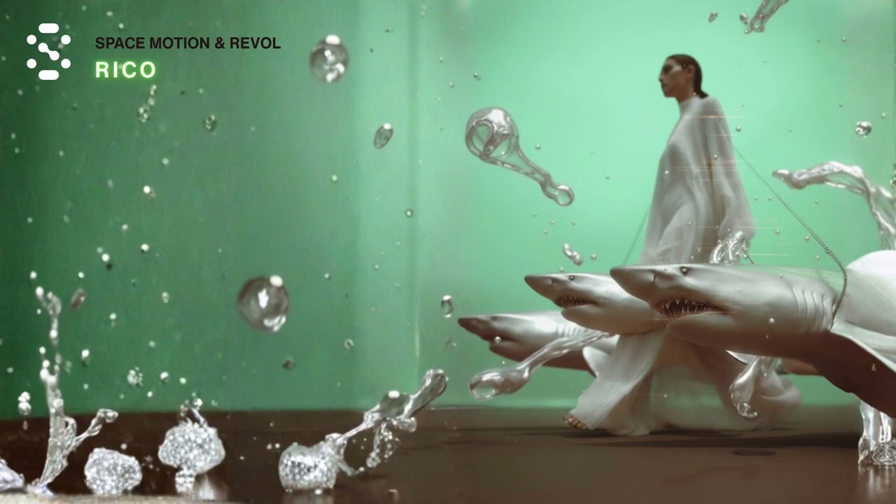 Space Motion & REVOL - RICO