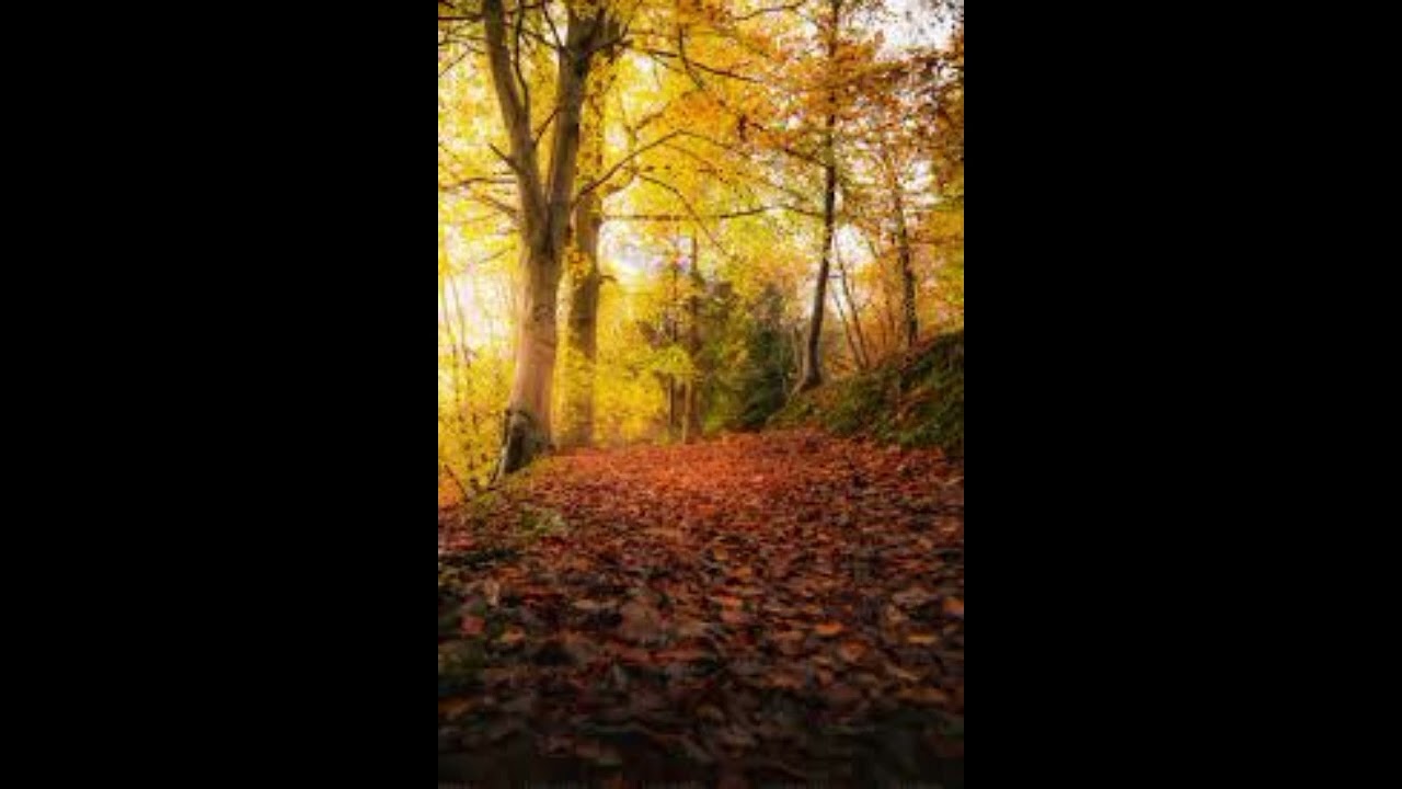 relaxing music for stress relief