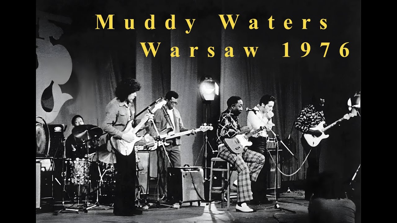 Muddy Waters  Jazz jamboree 1976 Warsaw