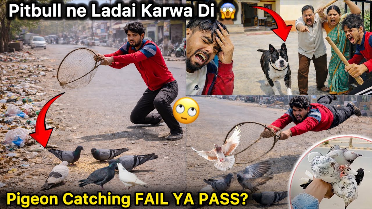 Kachre Se Kabutar Pakadne Lage 😱 || Pitbull Out of Control! 😱