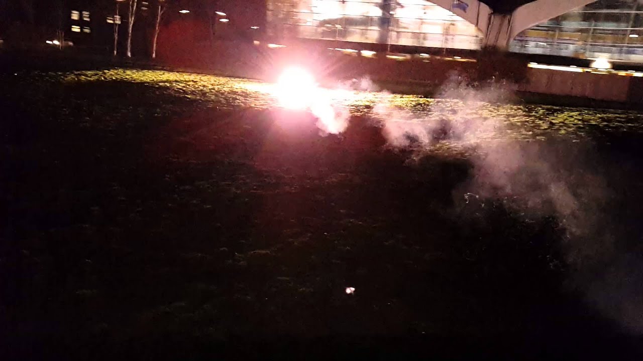 Vogelschreck r&ouml;hm rg96  alligator