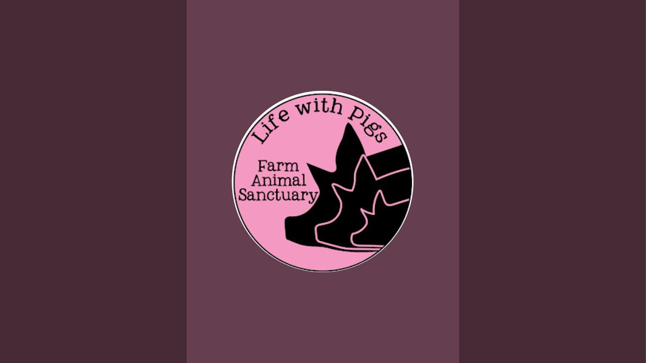 Life With Pigs Farm Animal Sanctuary is live!