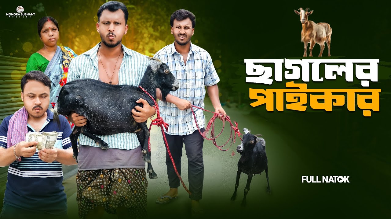 ছাগলের পাইকার 🤣 রাজবংশী কমেডি ভিডিও // Team sushant