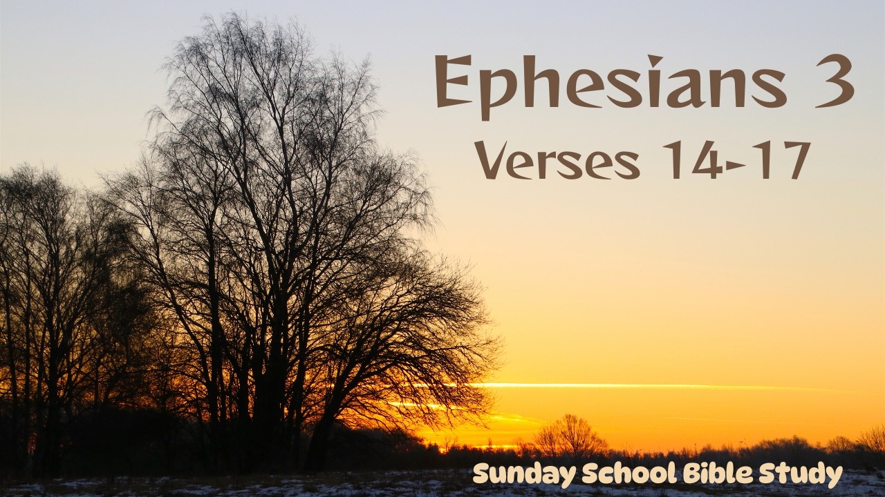 Sunday School Bible Study