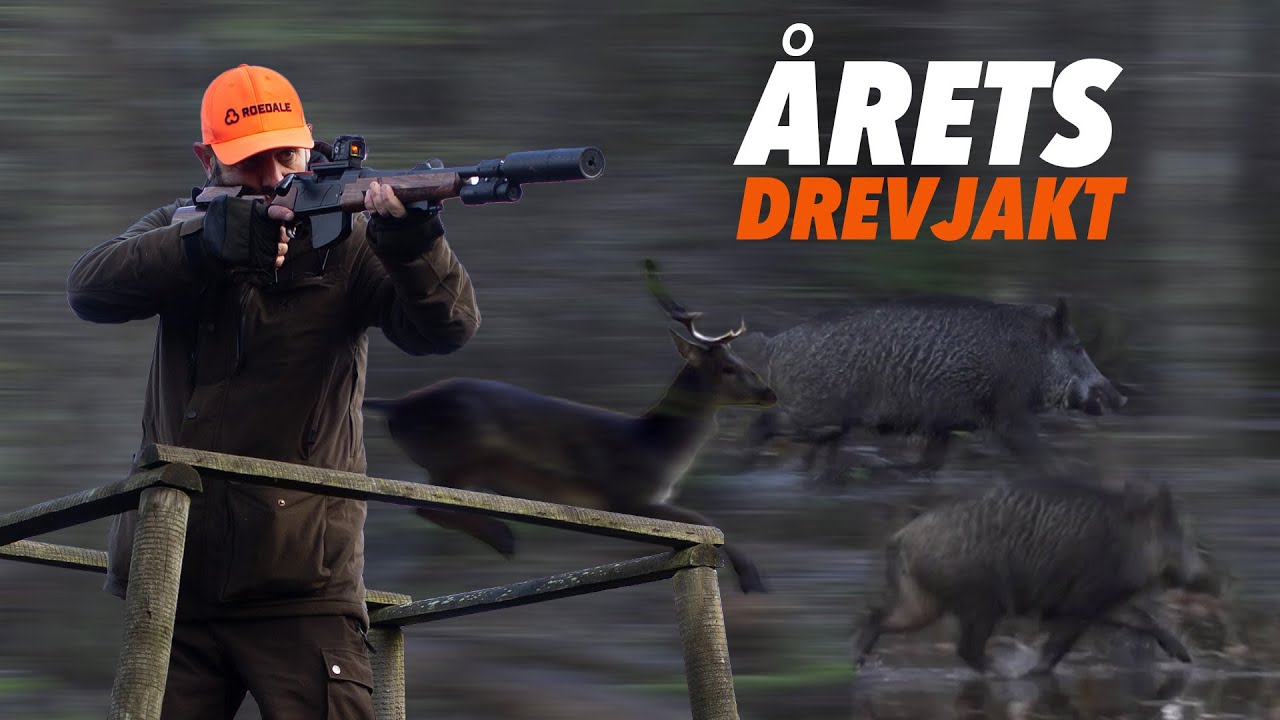 Drevjakt i Skåne - 