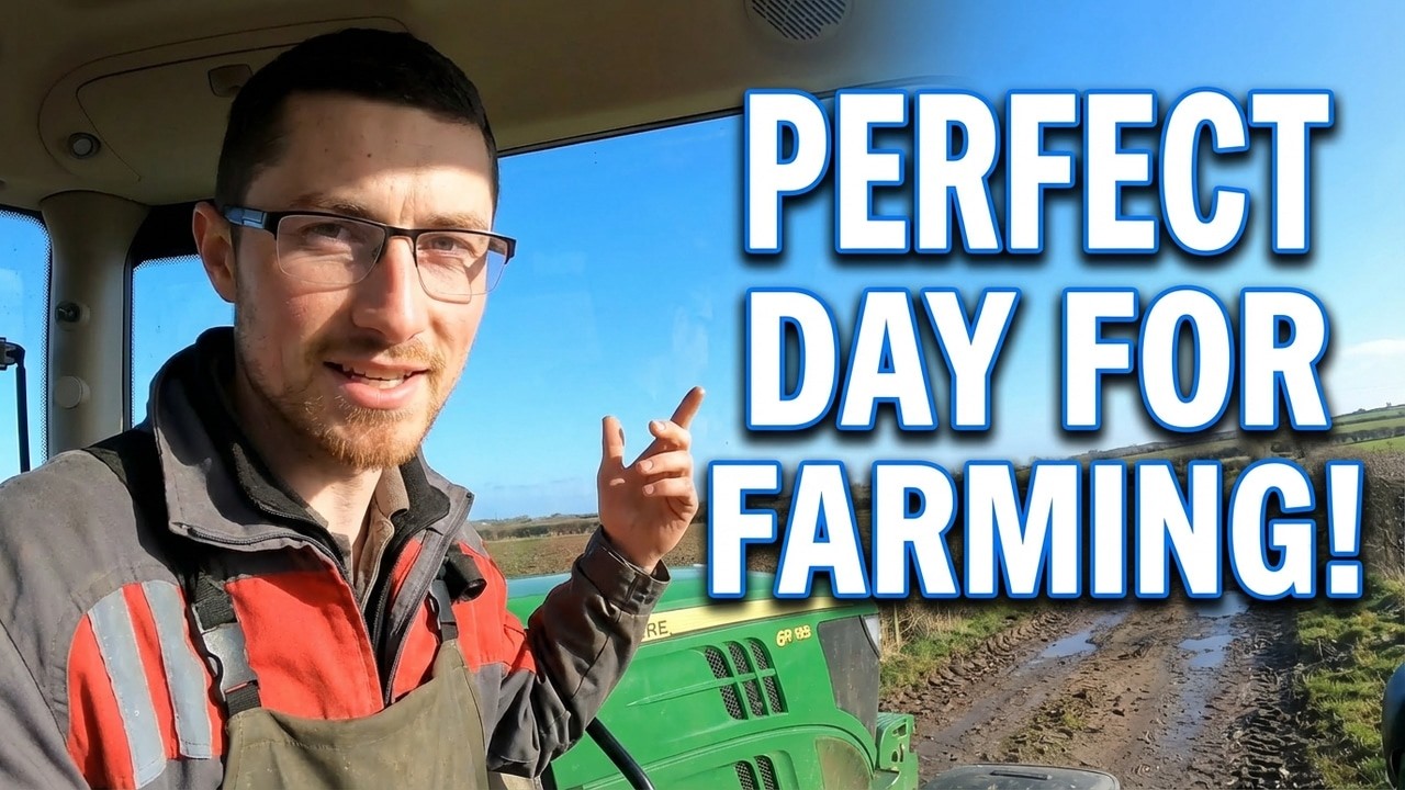 Blue Sky + John Deere 6R 185! | What Could Be Better!?
